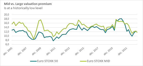 Mid vs Large valuation primium